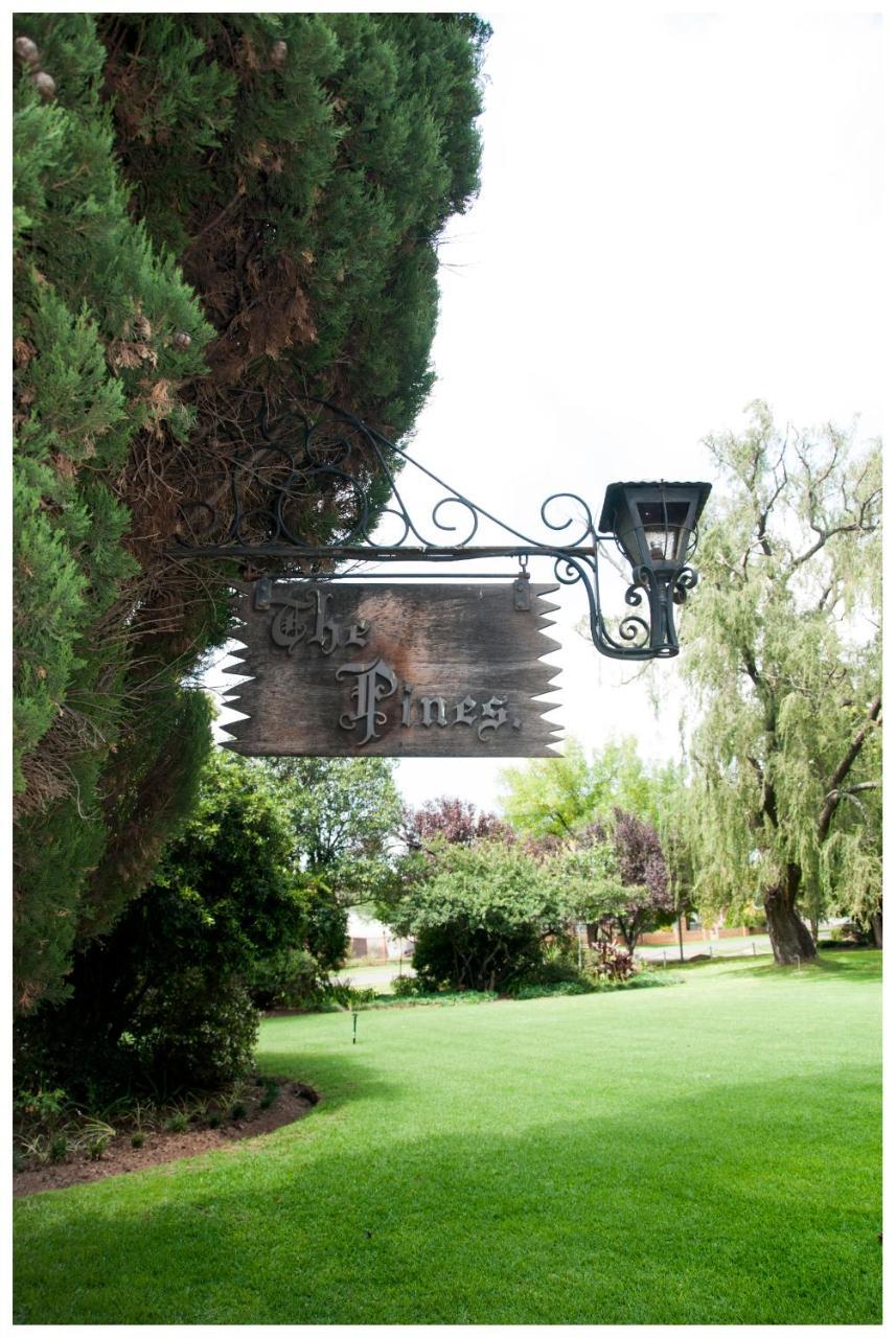 Shady Pines Guest House Harrismith Luaran gambar